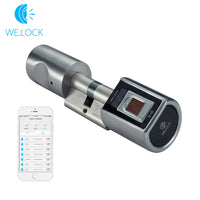 L6SRB Fingerprint Door lock, Waterproof Electronic Door Lock Intelligent Biometric Door Lock Smart Fingerprint Lock With App